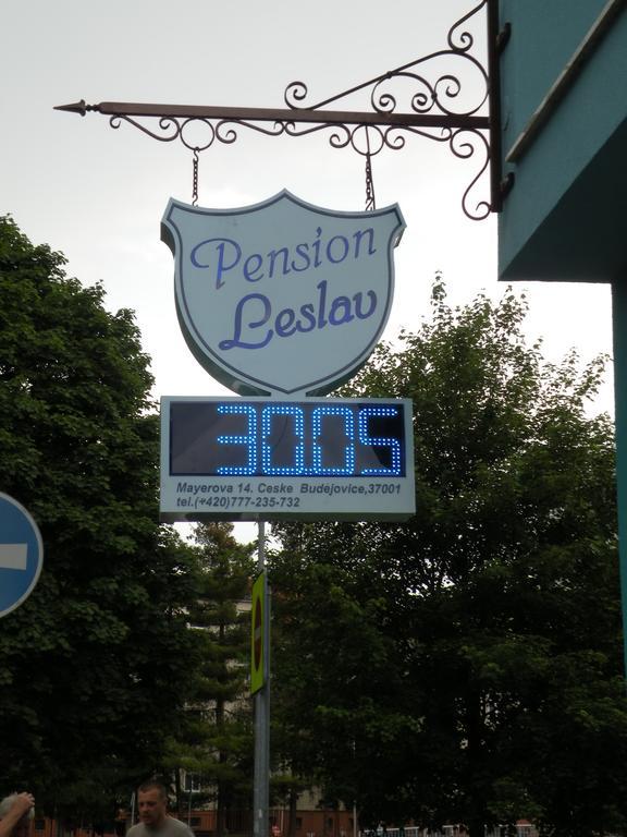 Penzion- Leslav Ceske Budejovice Extérieur photo