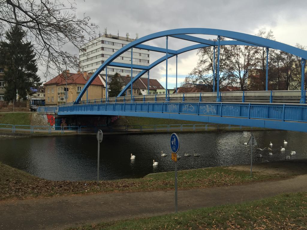 Penzion- Leslav Ceske Budejovice Extérieur photo