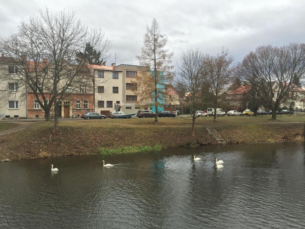 Penzion- Leslav Ceske Budejovice Extérieur photo